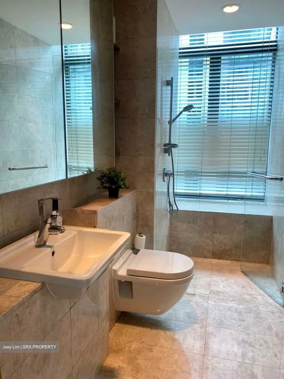 Soleil @ Sinaran (D11), Condominium #594136341